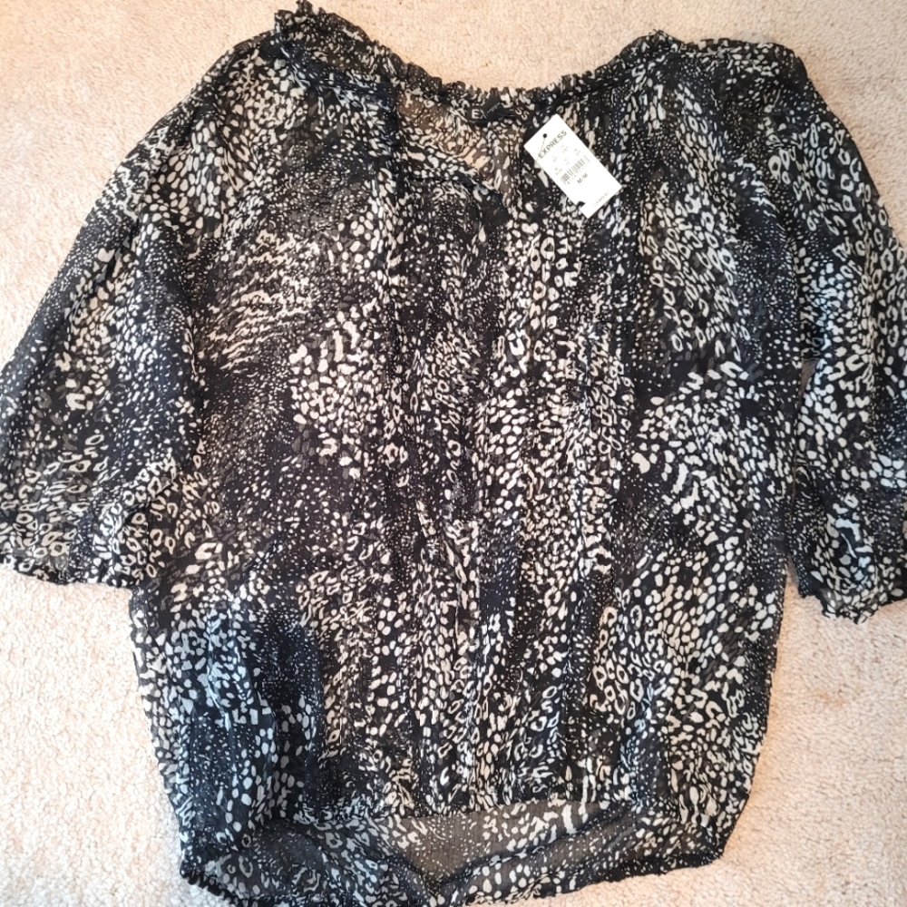 NWT Express sheer Top-M